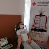 Martina, Anna, Božidar i Matija prvi put darivali krv