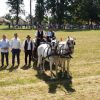 U povodu Dana Općine Petrijanec u Zelendvoru održane Konjičke igre