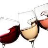 Poziv na predaju uzoraka za 29. Međunarodnu izložbu mladih vina