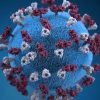 Epidemija bukti: čak 458 novih slučajeva zaraze koronavirusom u Varaždinskoj županiji