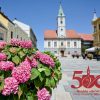 Produžen rok za prijavu na likovni i foto natječaj povodom 500. godina Gradske vijećnice