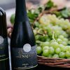 U vinogradu obitelji Najman održana tradicionalna županijska berba grožđa