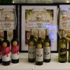 Rekordan broj vina i zlatnih medalja na 33. izložbi mladih vina u Ludbregu, šampioni iz Varaždinske županije i s Kvarnera