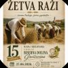 U Grešćevini ove subote tradicionalna ručna žetva raži i proslava 15 godina Udruge Biserna Dolina