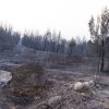 Varaždinska županija uplatila Gradu Omišu 25.000 eura za sanaciju posljedica požara