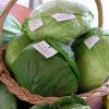 Općina Vidovec ulaže u poljoprivredu: otvorene prijave za općinske potpore
