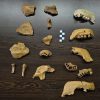 Vrijedan dar američkog antropologa Freda H. Smitha: 16 replika kostiju neandertalaca za Interpretacijski centar Špilja Vindija
